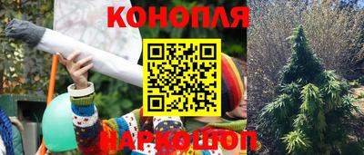 прущие грибы Гагарин