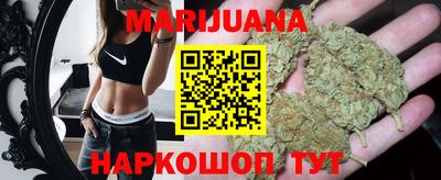 стафф Гай