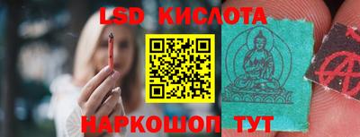 стафф Гай