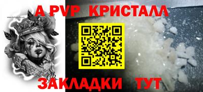 стафф Гай