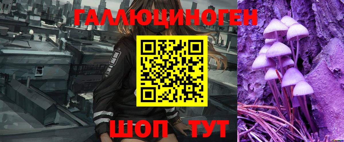 Каннабис  Метадон  Гашиш  НБОМе  МЕФ кристаллы  Где купить  Канабис  Экстази  Мефедрон   Гай  Кокаин  МЕТ  Кодеин 