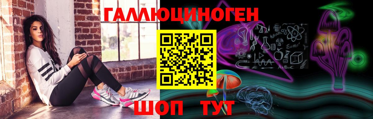 Галлюциногенные грибы GOLDEN TEACHER  Псилоцибиновые грибы GOLDEN TEACHER  Гай 