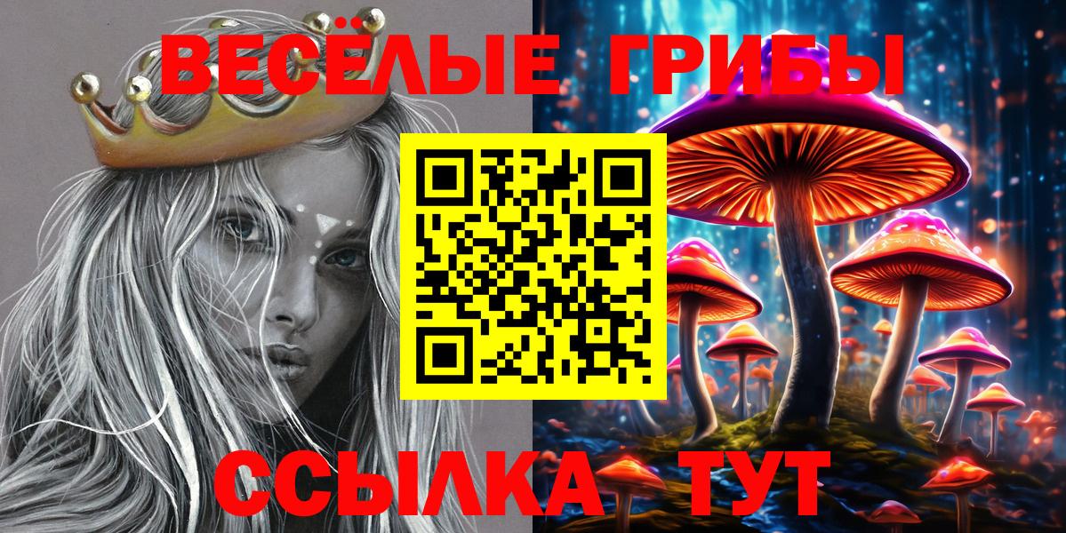 Псилоцибиновые грибы Psilocybine cubensis Гай