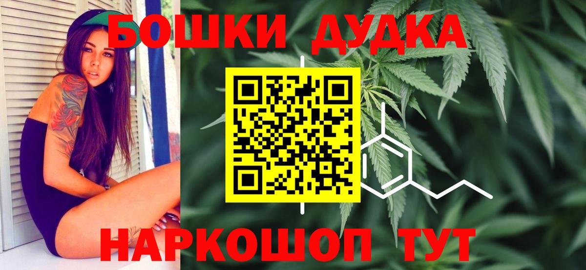 МАРИХУАНА OG Kush  Гай  Марихуана планчик  Шишки марихуана план  Марихуана марихуана 