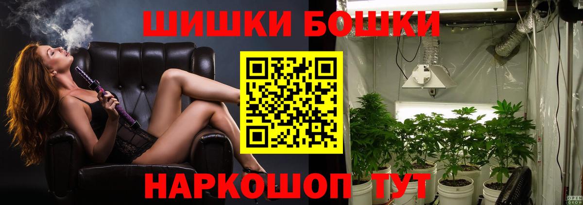 Шишки марихуана сатива Гай